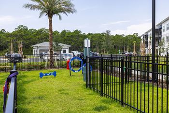 Luxury Pet Spa & Two Dog Parks